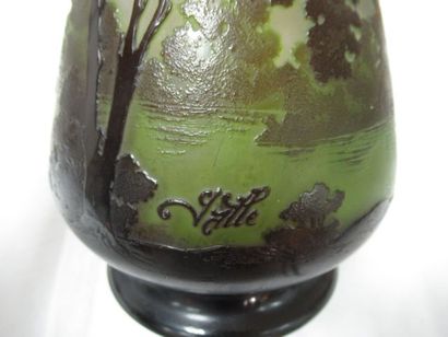 null GALLE Vase with acid-etched decoration showing plants in a green shading. H.22...
