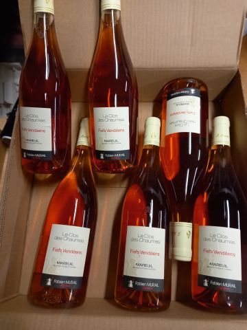 null 6 bouteilles de Clos des Chaumes Rosé 2017 Fiefs Vendéens Vigneron Fabien M...