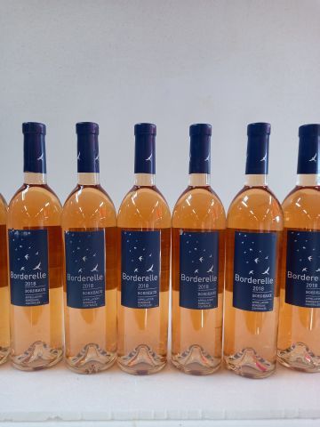 12 bouteilles de Bordeaux Rosé Sec Le Borderelle...