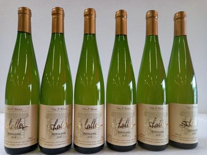 null 6 bouteilles de Riesling Alsace 2019 Domaine Edgard Schuller Viticulteur
