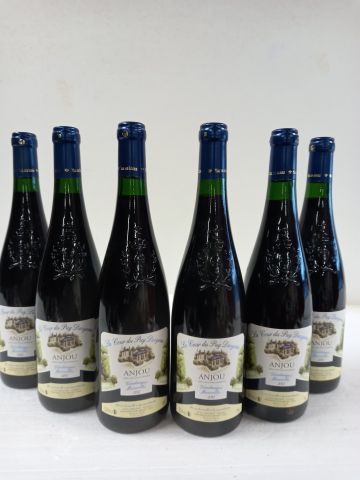 6 bouteilles d'Anjou Rouge 2012 Vendanges...
