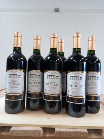 null 6 bouteilles de Château de Tillac 2016 Côtes de Bordeaux Propriétaire récol...