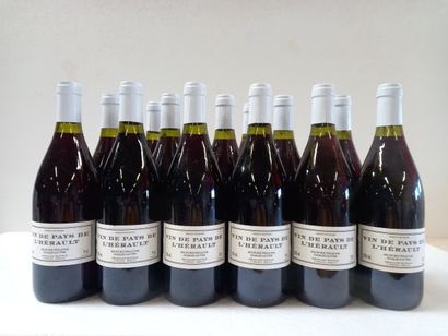 12 bouteilles de Vins de l'Herault. Rouge...