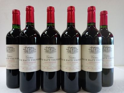 6 bouteilles de Saint Estephe 2013 Château...