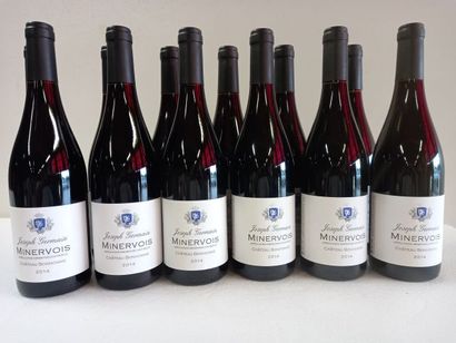 12 bouteilles de Château Bonhomme Minervois...