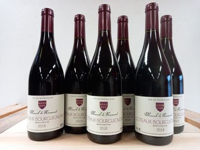 6 bouteilles de Bourgogne 2018 Côteaux Bourguignon...