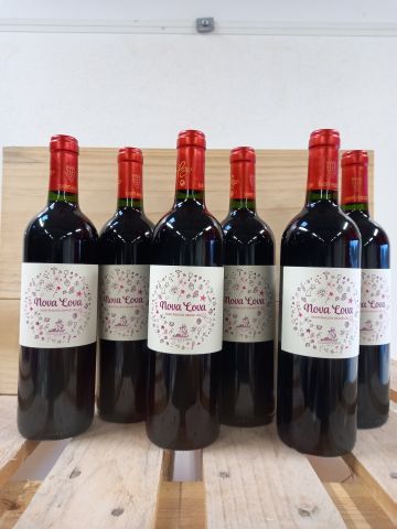 null 6 bouteilles de Saint Emilion Grand Cru 2014 NOVA LOVA Vignoble Barbet