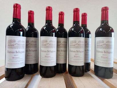 null 7 bouteilles de Château Bellegrave 2017 Médoc Vignoble Caussèque Propriétaire...