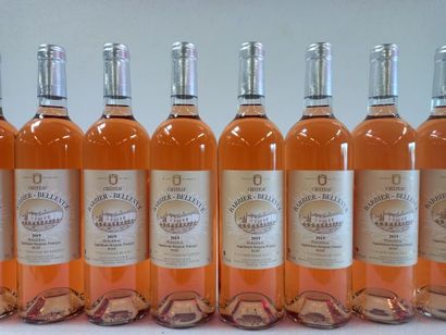 null 17 bouteilles de Château Barbier-Bellevue Rosé 2019 Bergerac. propriétaire ...