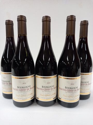 null 5 bouteilles de Bourgogne Hautes Côtes de Beaune Rouge 2018 Paul Henri Lacr...