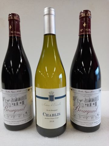 null 1 Lot of 3 bottles :

1 Chablis 2018 Bourgogne Antoine de Courcelles

2 Bourgueil...