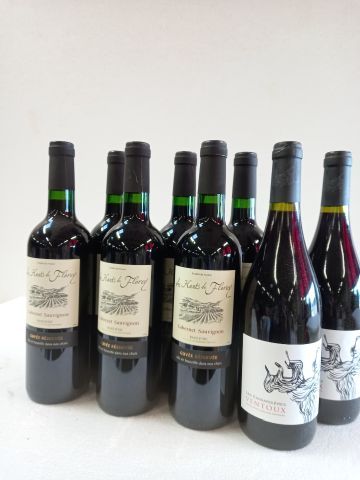 null Lot de 8 bouteilles:

2 Domaine La Cosardière 2019 Côtes de Ventoux La cave...