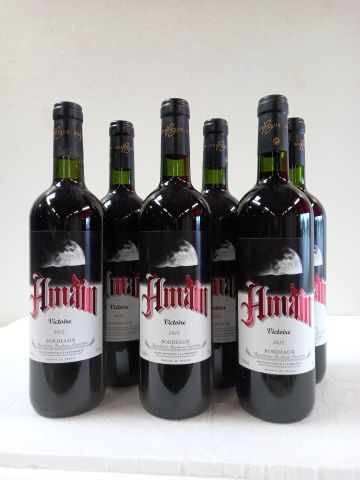 null 5 bouteilles de Bordeaux Rouge 2012 Victoire Amain Mise de Propriété