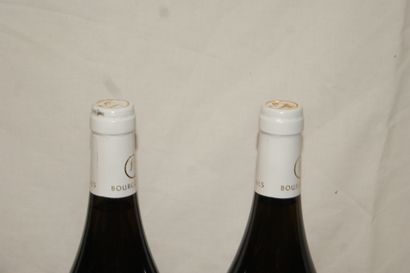 null 5 magnums de Bourgogne Hautes Côtes de Nuits, Blanc, 2010, Olivier Chanzy