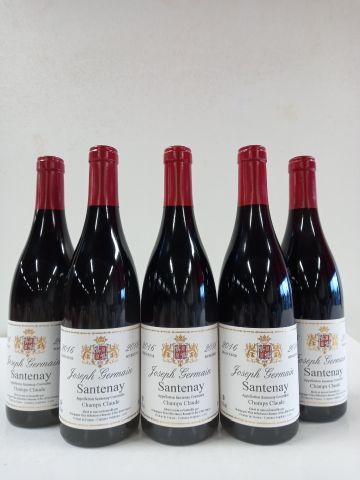null 5 bouteilles de Santenay Rouge 2016 Champs-Claude Joseph Germain