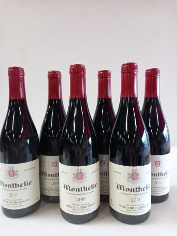 null 6 bouteilles de Monthélie 2019 Grand Vin de Bourgogne Noémie du Chanteloup