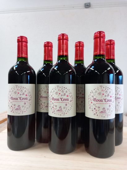 null 6 bouteilles de Saint Emilion Grand Cru 2014 Nova Lova Vignoble Barbet