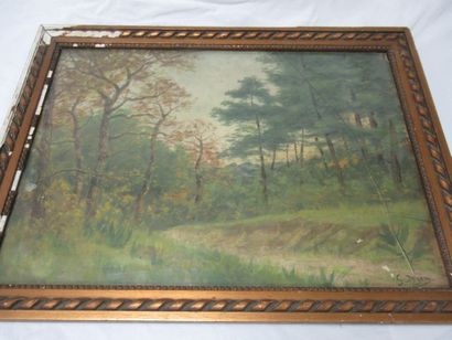 null Gustave DOYEN (Festieux 1836 - Fontainebleau 1923) "Paysage forrestier" Aquarelle....
