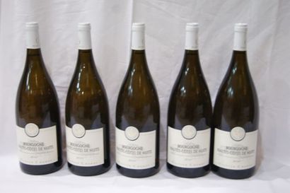 null 5 magnums of Bourgogne Hautes Côtes de Nuits, White, 2010, Olivier Chanzy