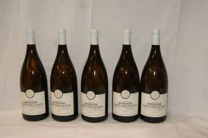 null 5 magnums of Bourgogne Hautes Côtes de Nuits, White, 2010, Olivier Chanzy