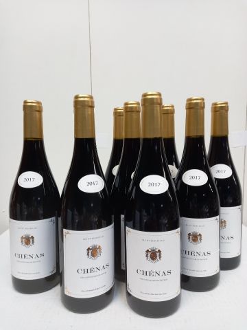 null 9 bottles of Chénas Cru du Beaujolais 2017 Perfect