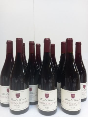 12 bouteilles de Bourgogne Rouge 2018 Côteaux...