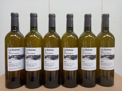 null 6 bouteilles de Pessac -Léognan Blanc La Dolmie Grand vin blanc en Pessac 2...