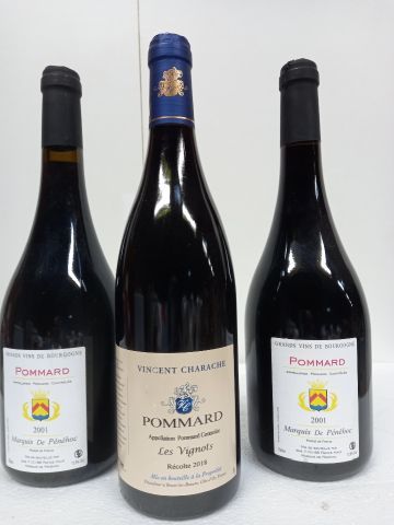 Lot de 3 bouteilles: 
1 Pomard Les Vignots...