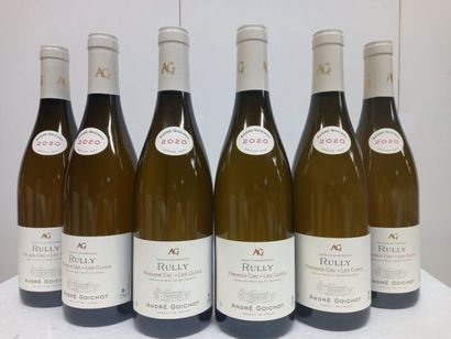 null 6 bouteilles de Rully 1er Cru Les Cloux 2020 Les Byots André Goichot