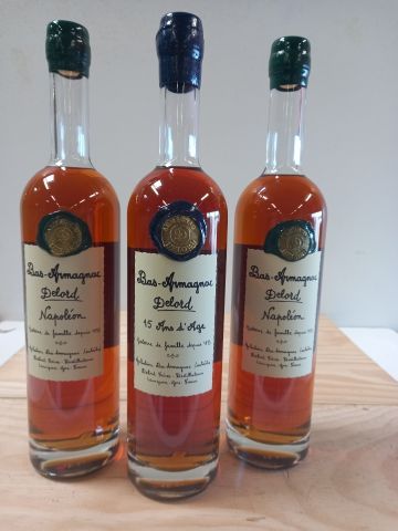 null 
Lot including: 1 Bottle Bas Armagnac 15 years of age. Delord family. 70cl....