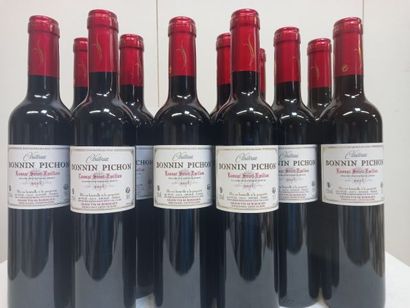 null 12 bottles of Lussac Saint Emilion 2015 Château Bonnin Pichon Vignerons Grand...