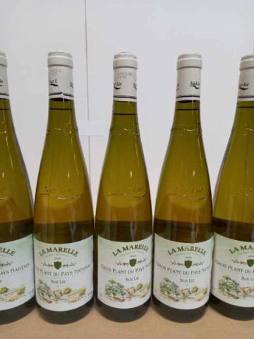 null 12 bouteilles de Vins de Loire Sec 2018 Gros Plant sur Lie du Pays Nantais Les...