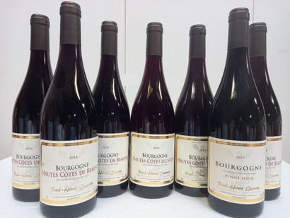 Lot de 7 bouteilles: 
6 Hautes Côtes de Beaune...
