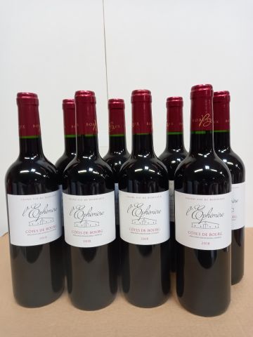null 8 bouteilles de Côtes de Bourg 2018 L'Ephémère propriétaire récoltant