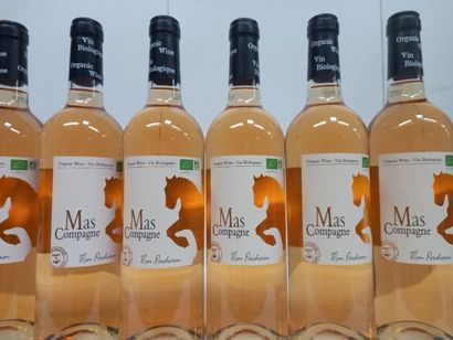 null 8 bouteilles de Rosé 2019 Le Mas Compagne Mon Percheron Domaine de la Taver...