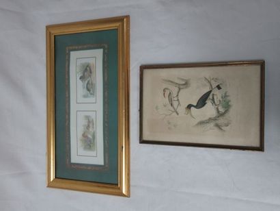 null Lot comprenant une gravure et une reproduction en couleurs figurant des canards...