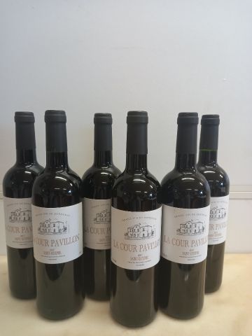 6 bouteilles de Saint Estèphe 2017 Domaine...