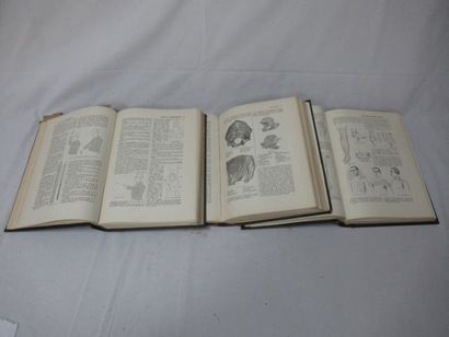 null "Nouvelle Encyclopédie Pratique de Médecine et d'Hygiène". Tomes 1, 2, 3. Quillet,...
