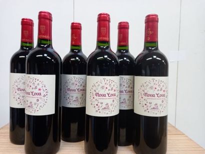 null 6 bouteilles de Bouteilles de Saint Emilion Grand Cru 2014 Nova-Lova Vignoble...