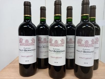 null 6 bouteilles de Château Haut- Bernones 2018 Haut Médoc famille Ruton depuis...