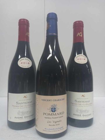 null Lot de 3 bouteilles :



2 Santenay 1er Cru La Maladière 2018 André Goichot

1...