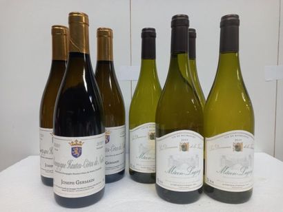null Lot de 7 bouteilles:

3 Bourgogne hautes Côtes de Nuits 2020 Blanc Joseph Germain...
