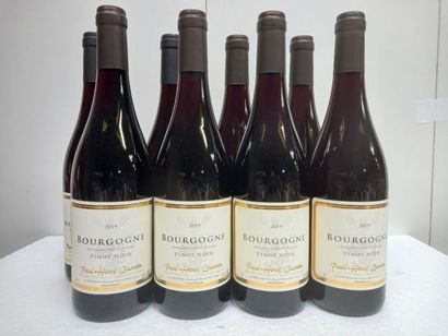 null 8 bottles of Bourgogne Pinot Noir 2019 Paul Henri Lacroix