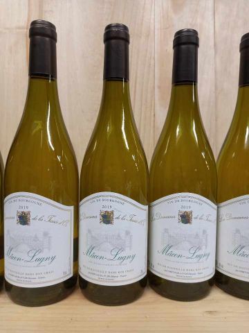null 5 bottles of Bourgogne Blanc 2019 Macon-Lugny Domaine de la Tassé d'Or