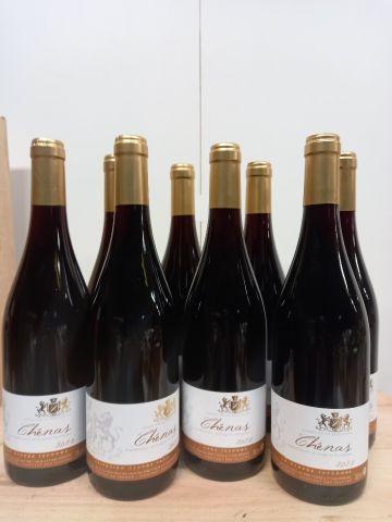 null 8 bottles of Chénas 2020 Cru du Beaujolais Claude Théodore