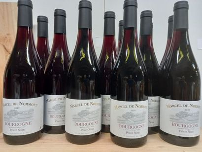 null 12 bottles of Bourgogne pinot noir 2019 Marcel de Normont