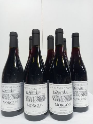null 9 bouteilles de Morgon Cru du Beaujolais 2019 André Paccalierre