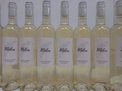 null 12 petites bouteilles (500 ml) de Provence Blanc 2019 Le Melou Famille Barcelo...