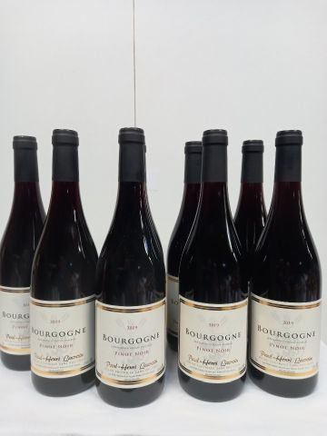 null 8 bouteilles de Bourgogne Pinot Noir 2019 Paul Henri Lacroix