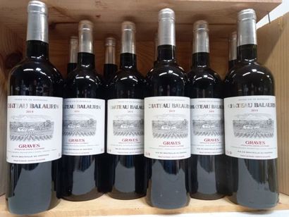 null 12 bouteilles de Graves Château Ballaurin 2019 Rouge Vignobles Cazaubon Grand...